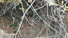 gal/Fishing 1/_thb_Large0005.jpg